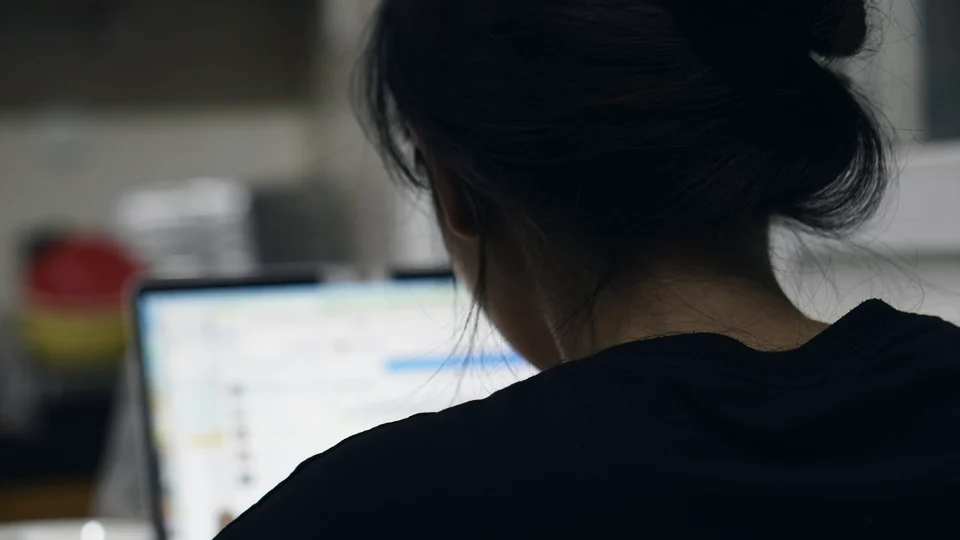 A person reviewing figures on a screen, seen from behind